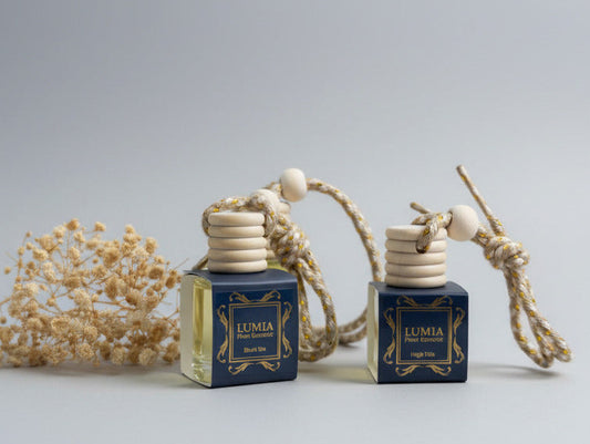 Car fragrance diffuser